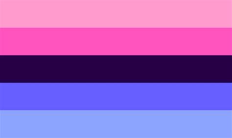 omnisexual flag meaning|Omni Flag & Omnisexuality Flag Meaning